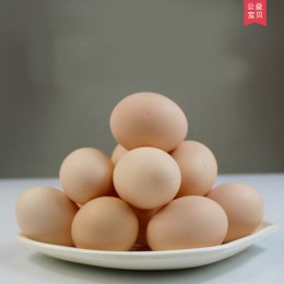電商扶貧公益專區(qū)——宋三家養(yǎng)土雞蛋