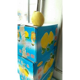 出售自己家的套袋酥梨，10元6斤，送貨上門