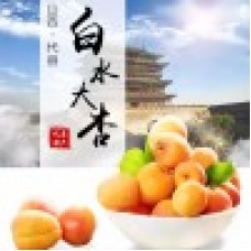 山西省代縣美味約食品有限公司
